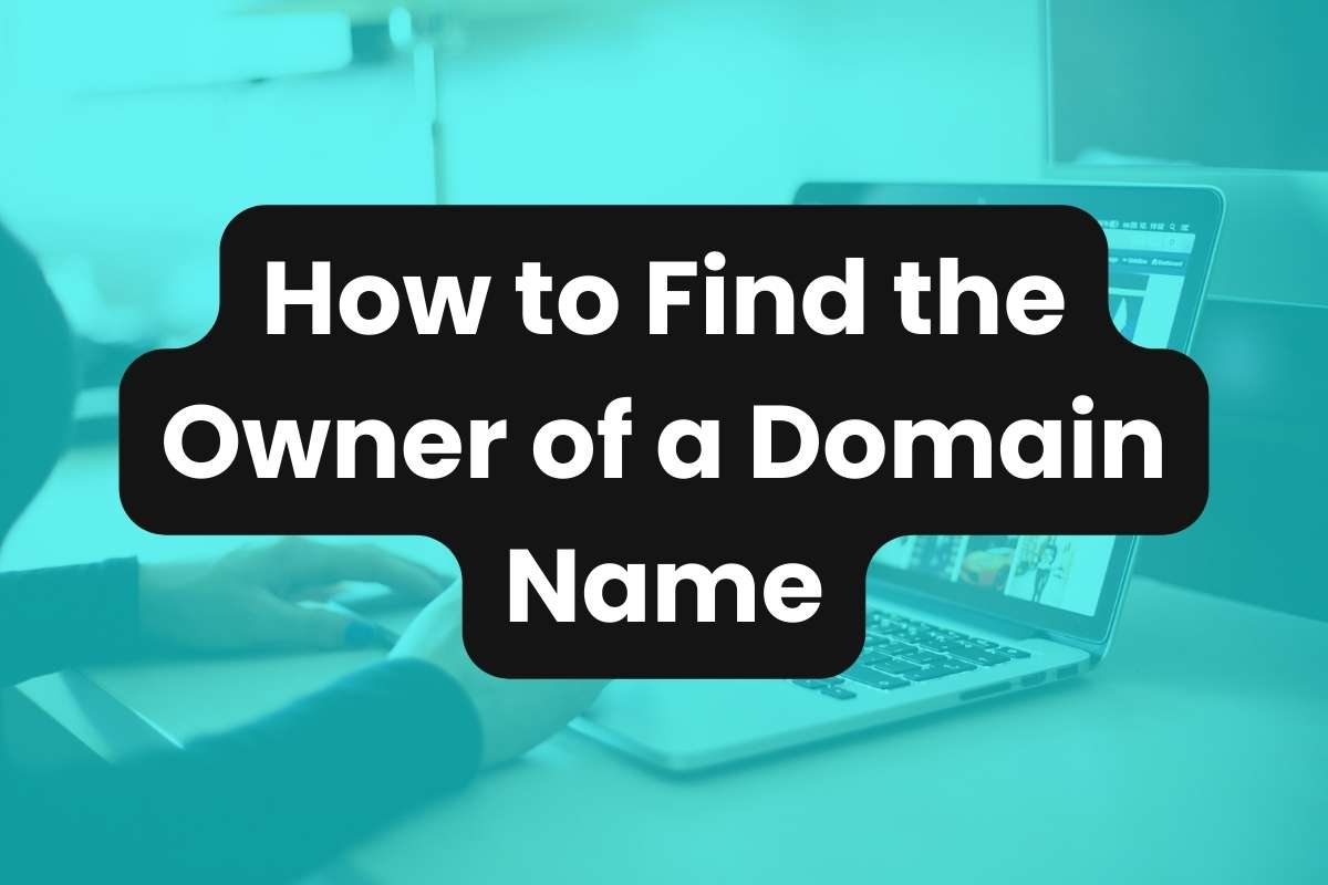 How to Find the Owner of a Domain Name